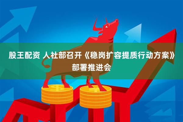 股王配资 人社部召开《稳岗扩容提质行动方案》部署推进会