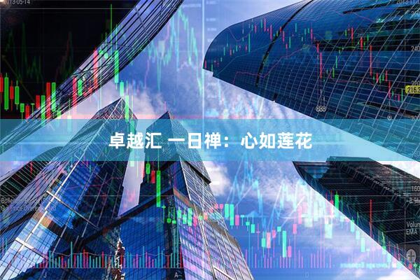 卓越汇 一日禅：心如莲花